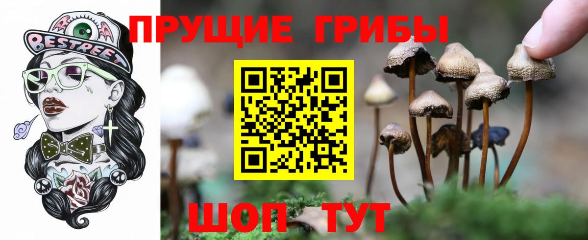 Галлюциногенные грибы прущие грибы Кольчугино